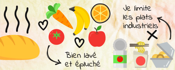 alimentation